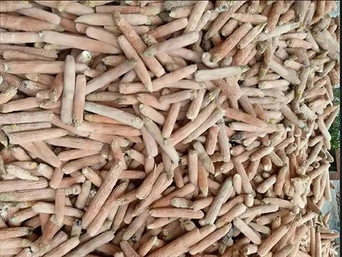 product-496-372 product-496-372